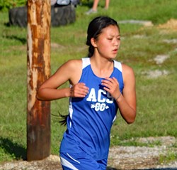Taylor Leads Way for Cross Country 